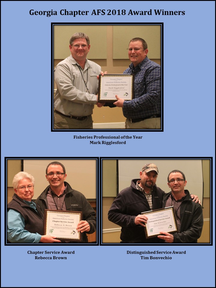 2018 Chapter Award Winners
